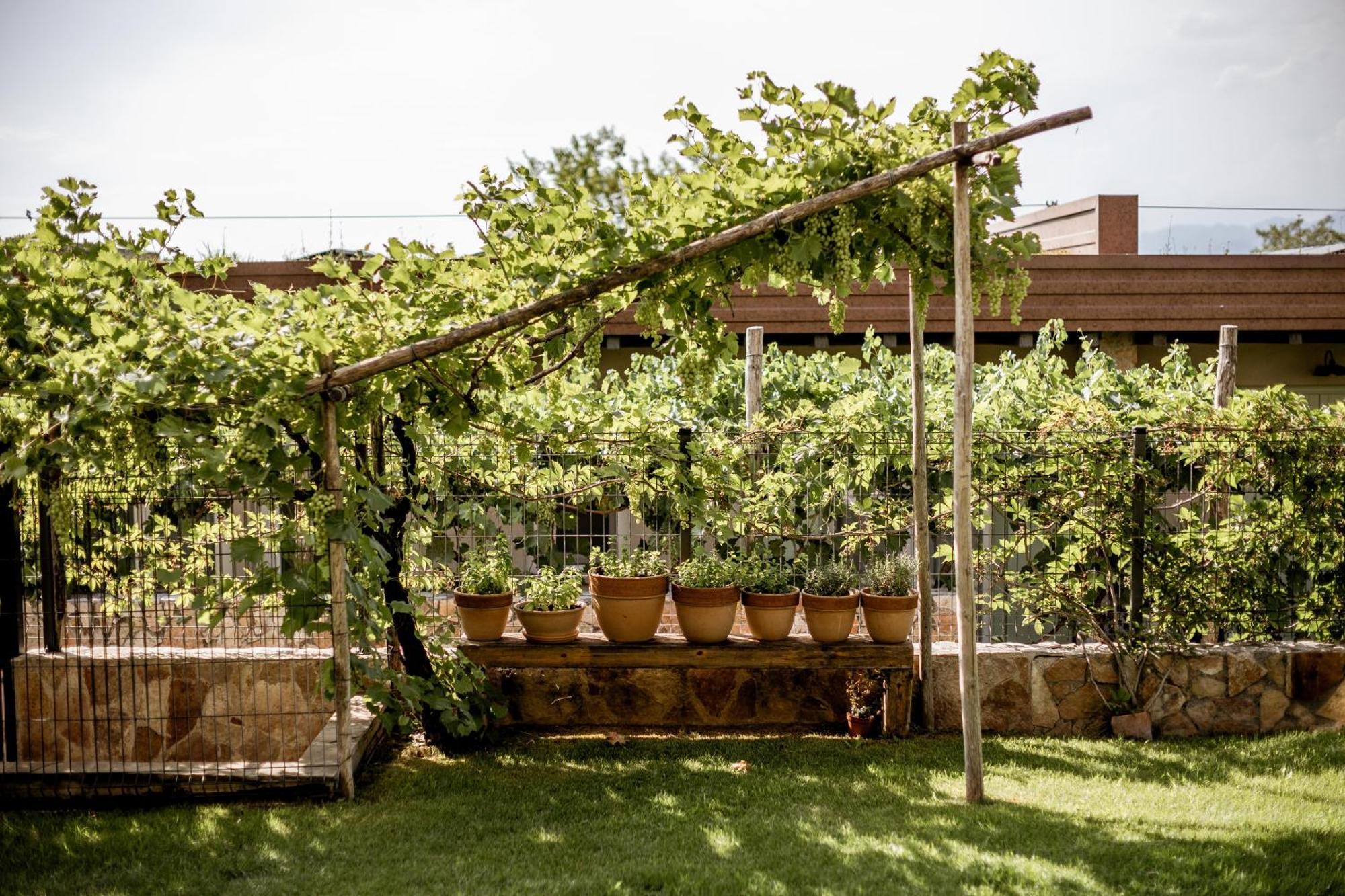Guest house Le Greghe